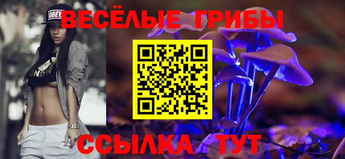 Калуга  Псилоцибиновые грибы Cubensis  Псилоцибиновые грибы Cubensis  как найти закладки  Вход с VPN 