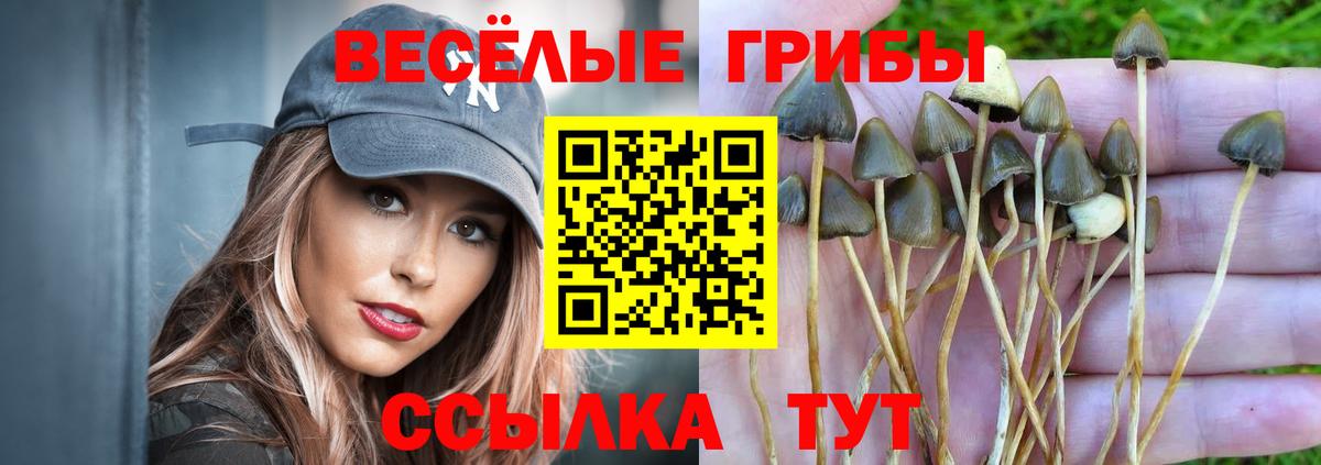 Псилоцибиновые грибы прущие грибы Калуга